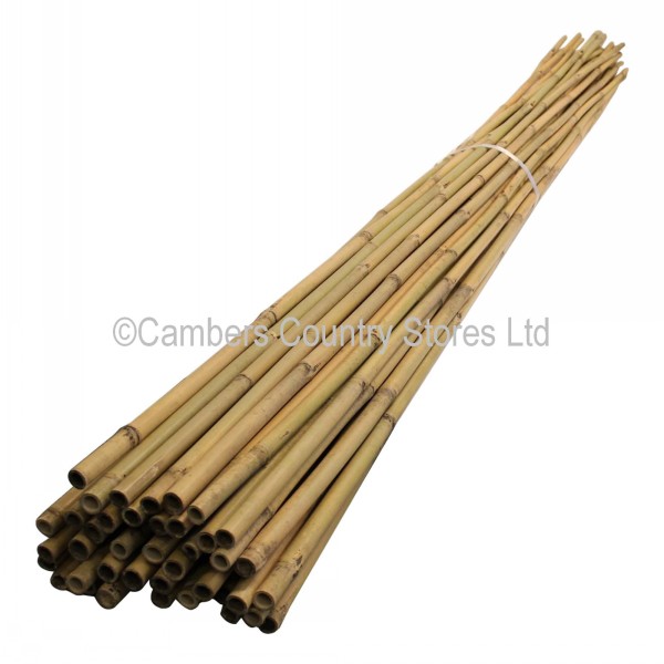 Bamboo Garden Canes 8ft 10 Pack Cambers Country Store